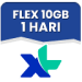 Data Flex Mini 10 GB 1 Hari