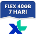 Data Flex Mini 40 GB 7 Hari
