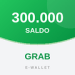Customer 300.000