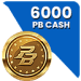 6000 Cash