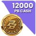12000 Cash