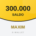 Customer 300.000