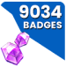 9034 Badges