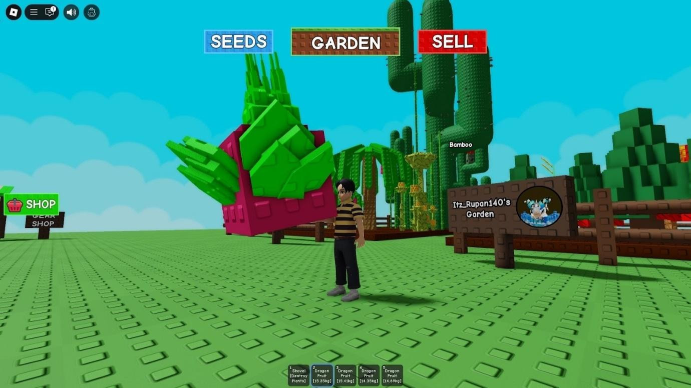 dragonfruit roblox